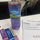 해담약국 | 당독소 다이어트 3일 재도전, 실패 요인 분석해서 이번에는 성공!!!