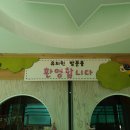 성모남해유치원 이미지