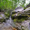 뒷골로, 뒷골1로 이미지