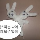 DOG IS 이미지