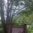 하너미로 이미지