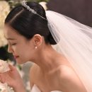 로젤리스튜디오
