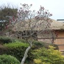 박용철 전집 시집 이미지