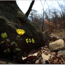 복받으세요 Daum카페