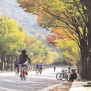 인천대공원시설공단 동행미디어 시대