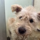 화원 명곡우체국 이미지