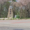 2026.04.11. 거금도 적대봉(파성재~마당목재~적대봉 원점회귀 5.87km 2h28m)..대덕산우회.. 이미지