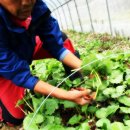 육남매농장 이미지