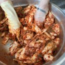 정현시래기 이미지