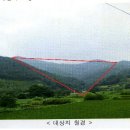 숲정 이미지
