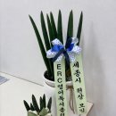 보람 | ERC보람점 오픈후기 및 meeting with 원장님들🫶