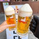 비어비어 이미지