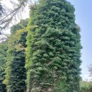 태산목장 이미지