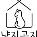 고양이무마취미용 냥지곤지 이미지