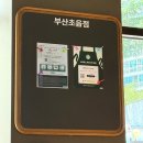 카페051 연지래미안어반파크점 | 부산진구 초읍 연지동 스타벅스 신규오픈 커피 마시러 다녀온 후기