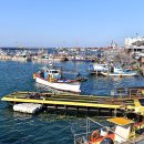 넙치민박 이미지