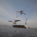 멍돌이와 멍순이 이미지