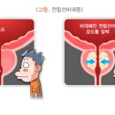 B&T통상 이미지