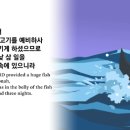 그리다시스