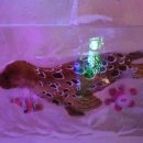 아이스뮤지엄 이미지