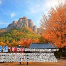 주왕산얼음골사과