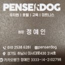 퍼시독 이미지