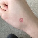 행남초등학교 | 4월 사월... 내딸 금사월