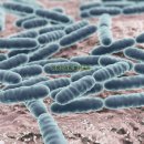 건일약국 이미지