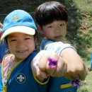 천안 아이숲유치원 충남도민일보