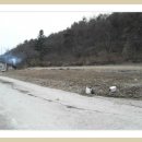 동해래요펜션 이미지