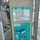 거제 벨버디어 리조트 즐기는 방법, 부대시설 완벽 가이드