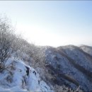호남고래