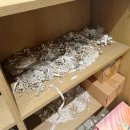 7526 | 부산 명지 돌 드레스, 맘드레스 대여 ‘그날의감동’ 내돈내산 후기!