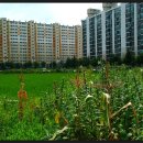 고내상 성지 이미지