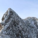 2026년 한라산 눈꽃 산행 안내 이미지