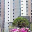 풍경채단지내일등공인중개사사무소 | 파주 운정 해오름마을 6단지 제일풍경채 그랑포레 봄소식
