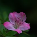 문필봉민박 이미지