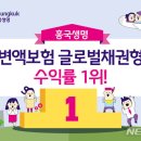 흥국생명보험 이미지