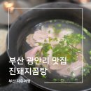 진돼지 | 부산 광안리 맛집 진돼지곰탕 솔직후기 다이닝 스타일 아침식사
