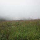 광일농장 이미지