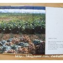 무랑농장 이미지