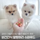 강아지 비건간식 저알러지 가금류알러지견 추천 &#34;말랑하리 슈퍼푸드&#34;
