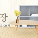 봄집 이미지