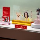 디자인비아