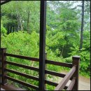 치악산자연휴양림 | [원주 제천 여행 코스] 치악산 자연휴양림부터 제천 동문·내토전통시장 탐방 후기
