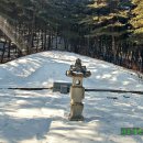 고석농장 | (경기 가평)영흥부원군 효간공 김조근 묘