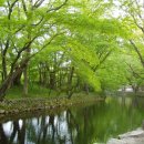 박현규농장 이미지