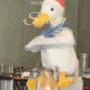 세종 가볼만한곳 SNS 난리난 오리커피 카피바라 푸딩 발산카페