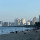 베트남 나트랑 3박 5일 자유여행 일정 코스 정리!