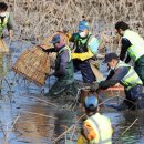 가래치기 이미지